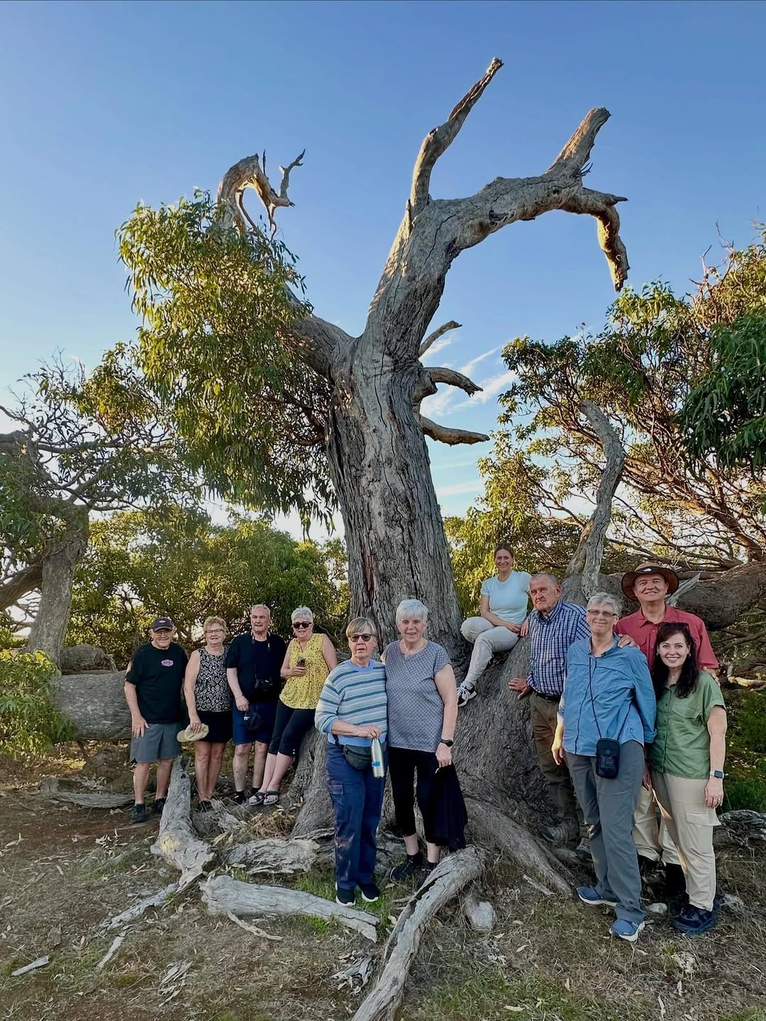 Post 8 by Australian Coastal Safaris on Instagram (carousel)
