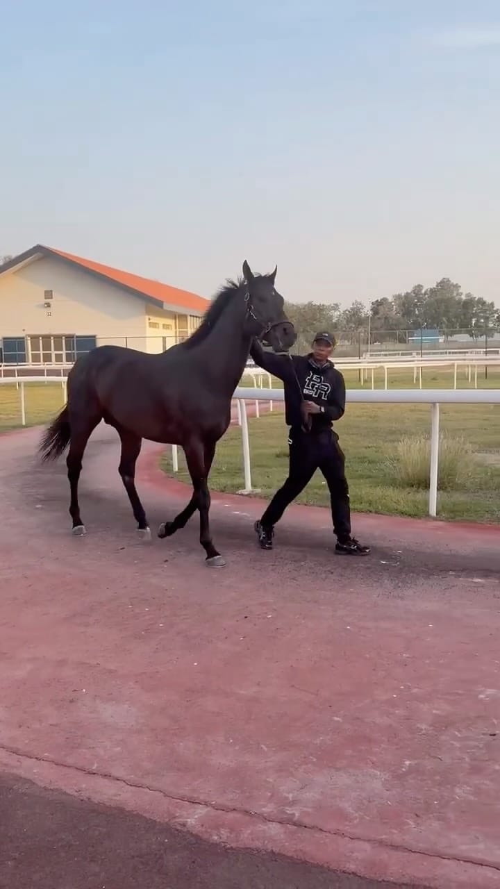 Post 4 by Michael iavarone on Instagram (video)