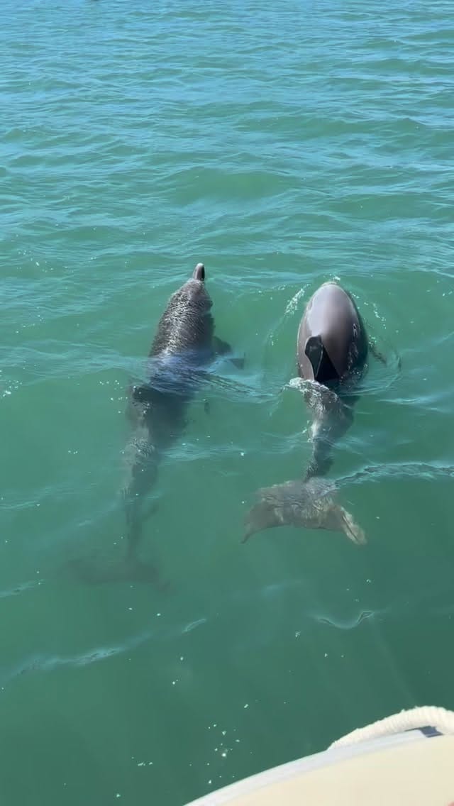 Post 1 by Antonia Lantto on Instagram (video)