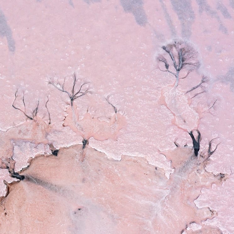 Post 6 by Eamon Wyss on Instagram (image)