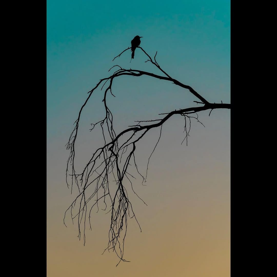 Post 6 by Gary Meredith Art Prints on Instagram (image)