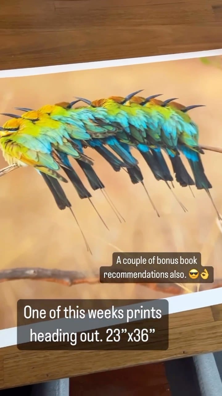 Post 3 by Gary Meredith Art Prints on Instagram (video)
