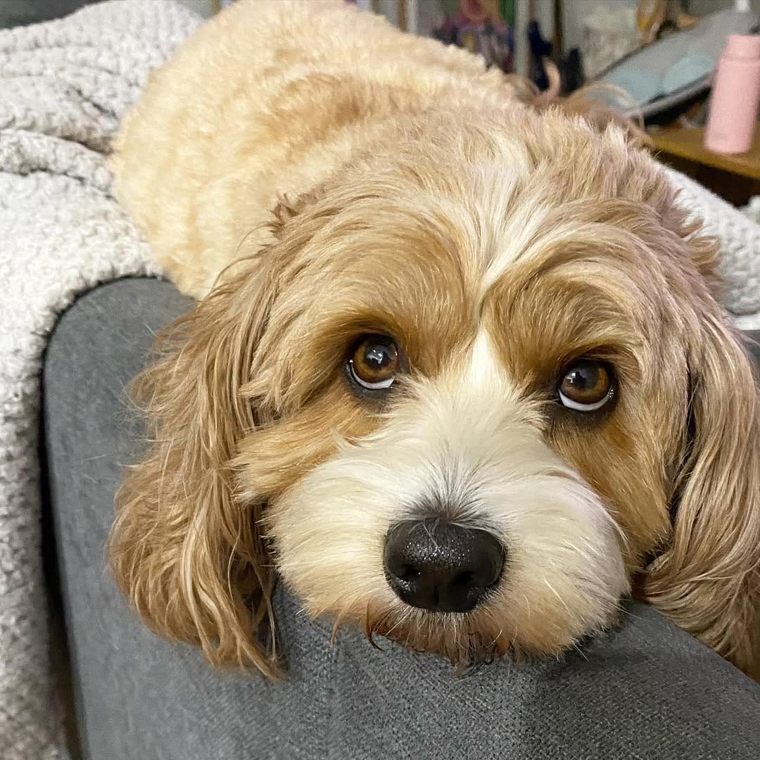 Post 1 by Tilly on Instagram (image)