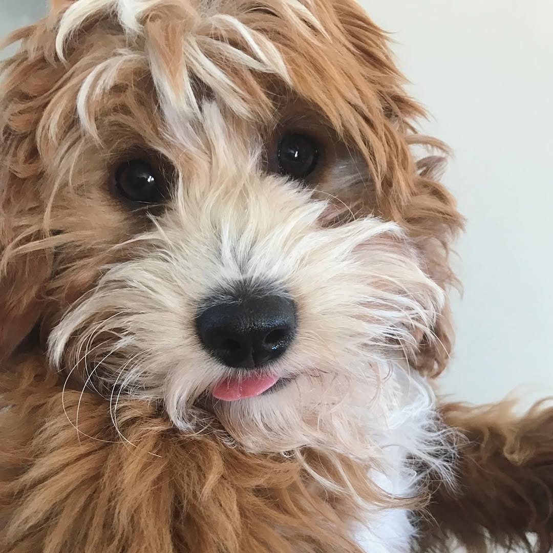 Post 4 by Tilly on Instagram (image)