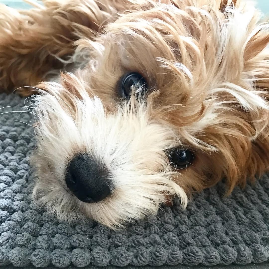 Post 7 by Tilly on Instagram (image)