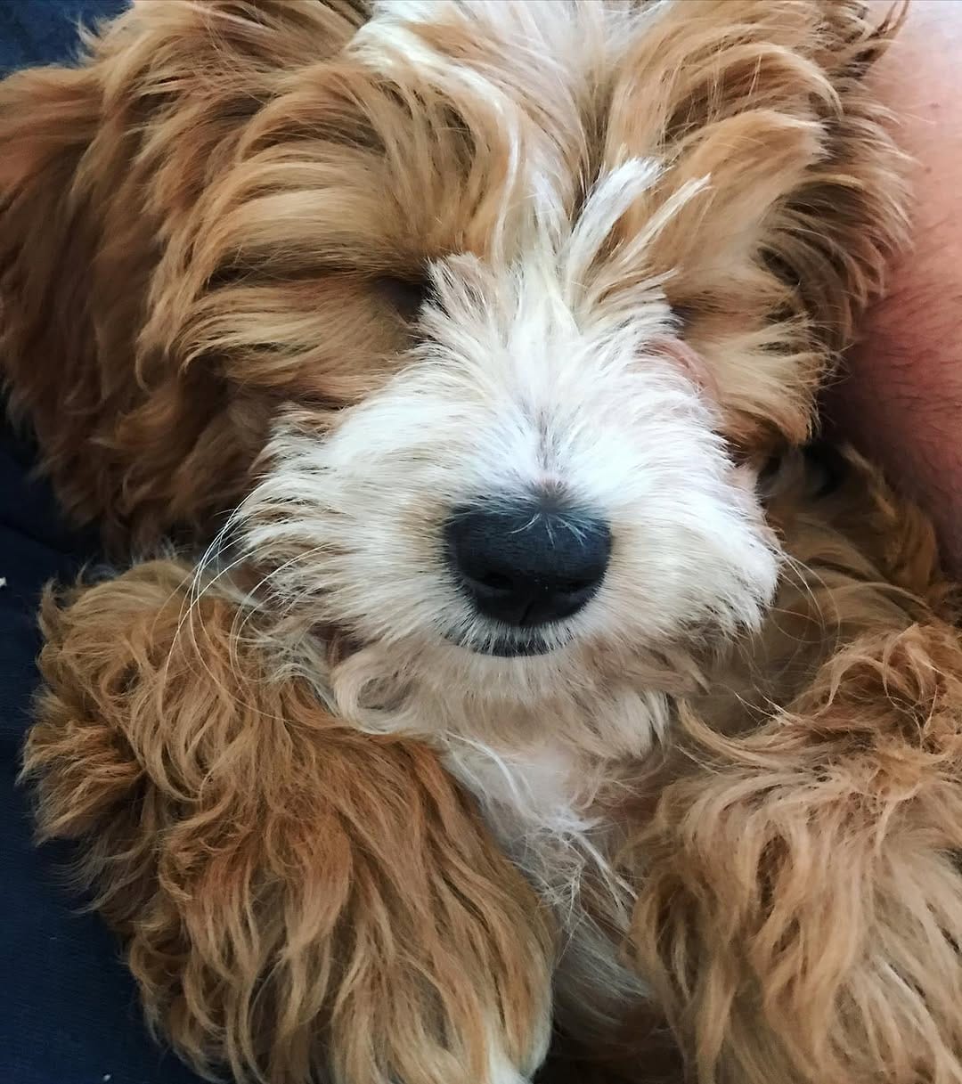 Post 10 by Tilly on Instagram (image)