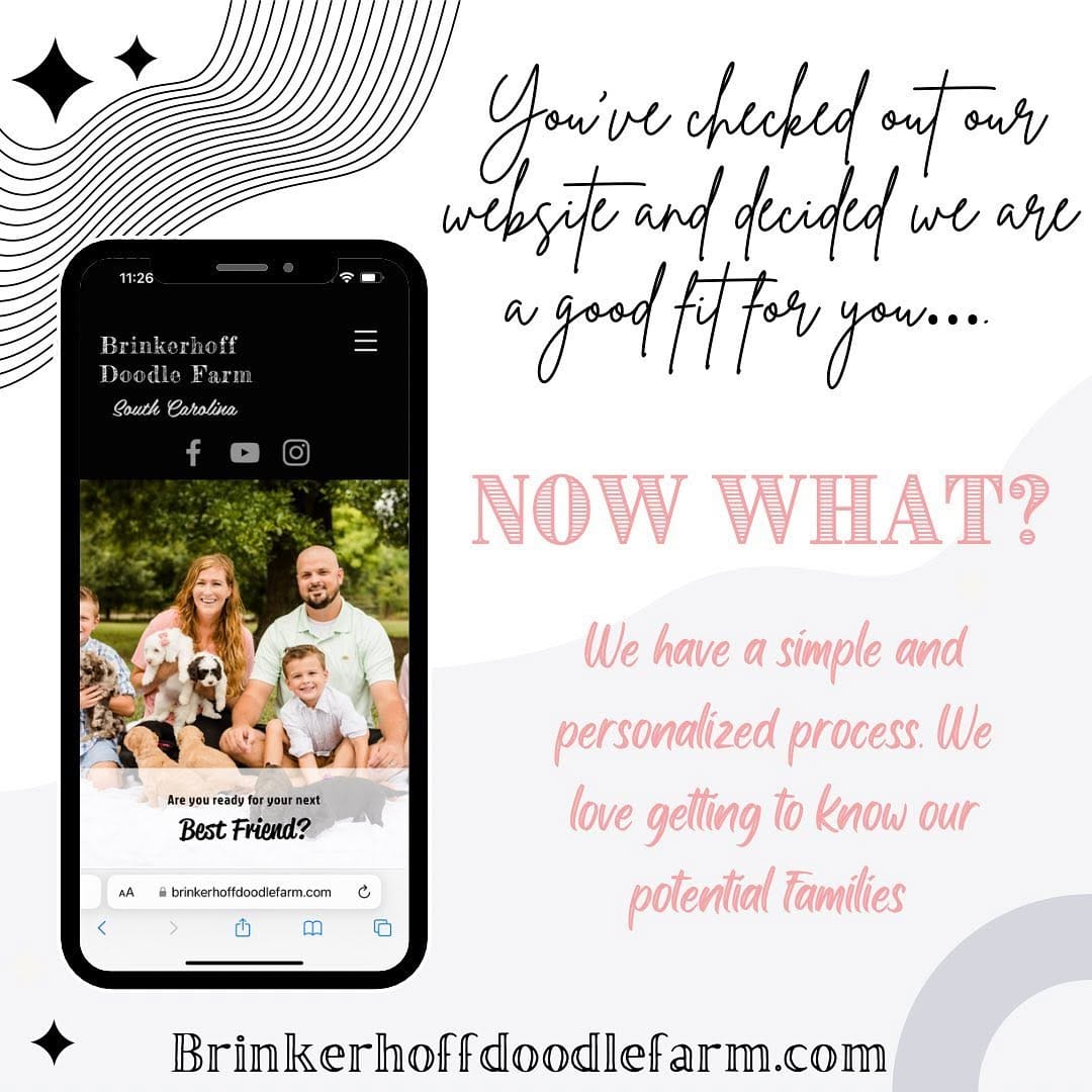 Post 8 by 🐾🐶Brinkerhoff Doodle Farm🐶🐾 on Instagram (carousel)