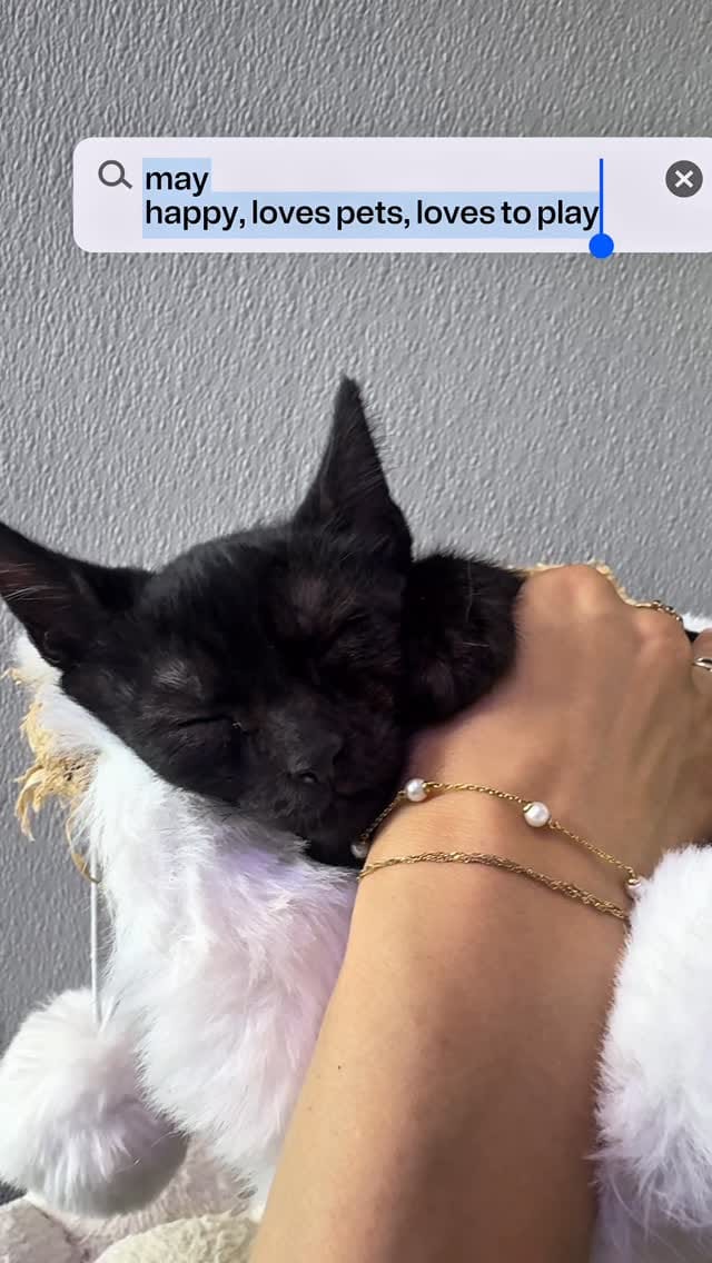 Post 3 by Sammie Herrick • West Palm Beach/Boston Lifestyle on Instagram (video)