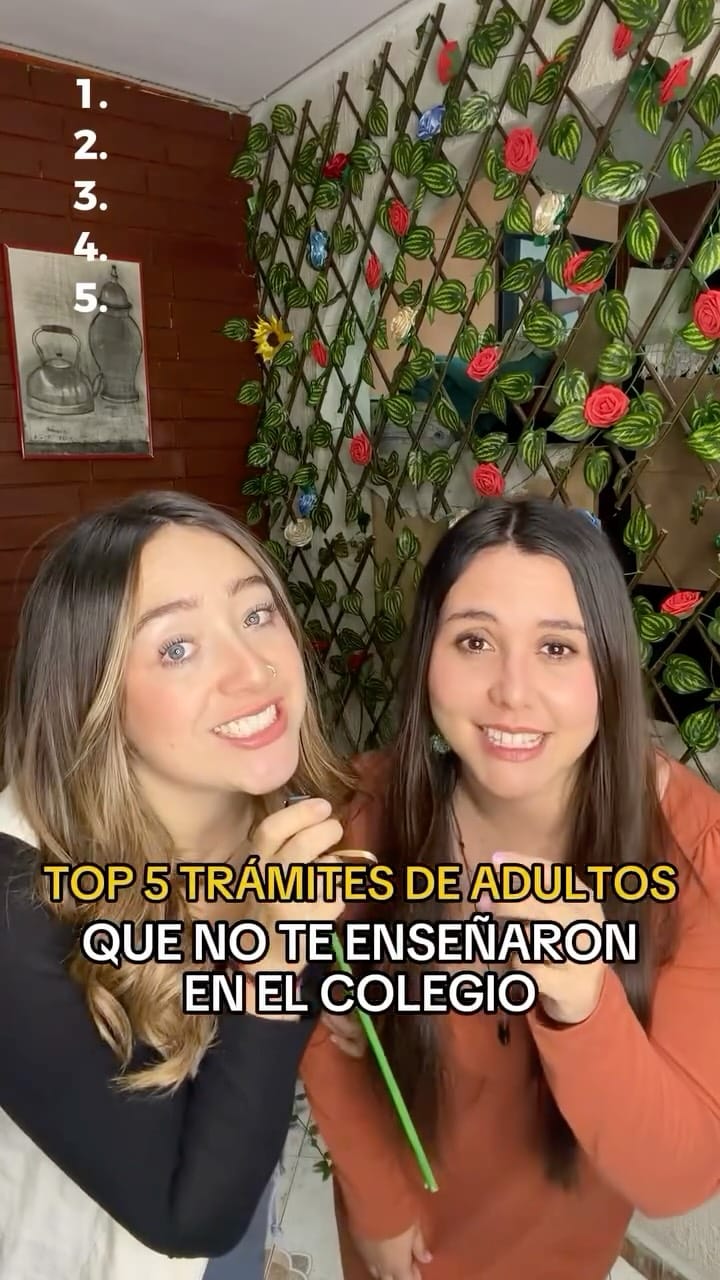 Post 1 by Lucía Beltrán Chávarro ✦ on Instagram (video)