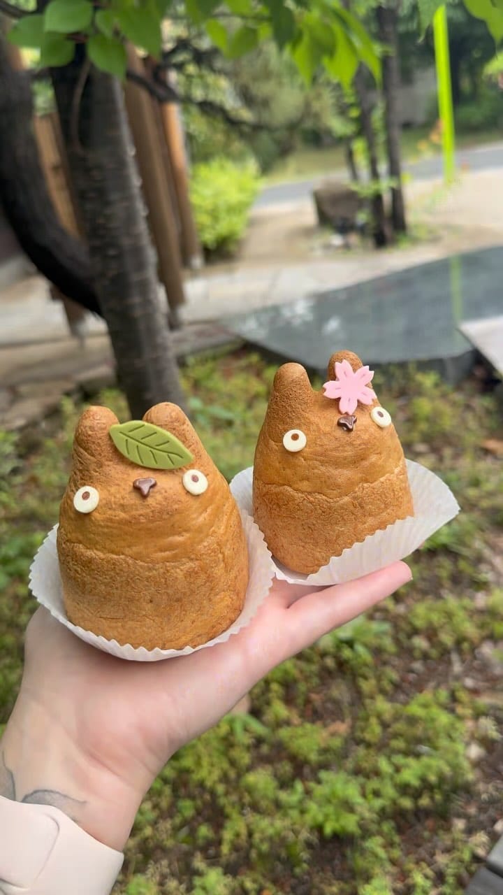 Post 2 by Adelaide Blogger on Instagram (video)