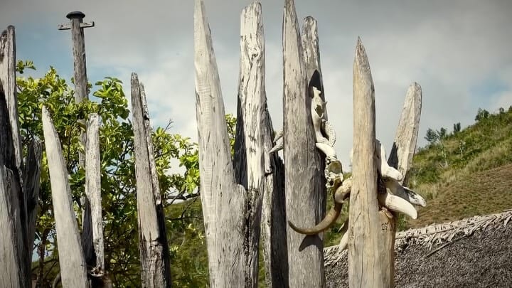 Post 4 by JM Mourier on Instagram (video)