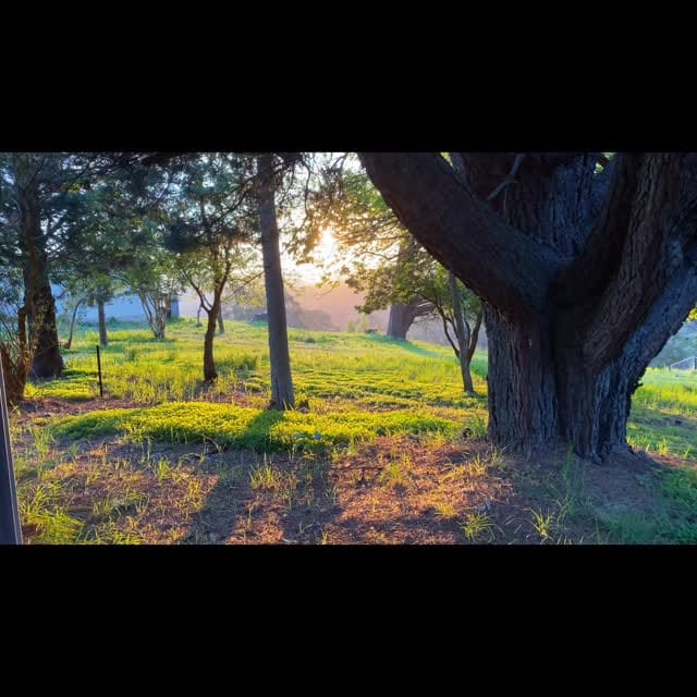 Post 2 by 🎥Brentyn Wakefield📷 on Instagram (video)