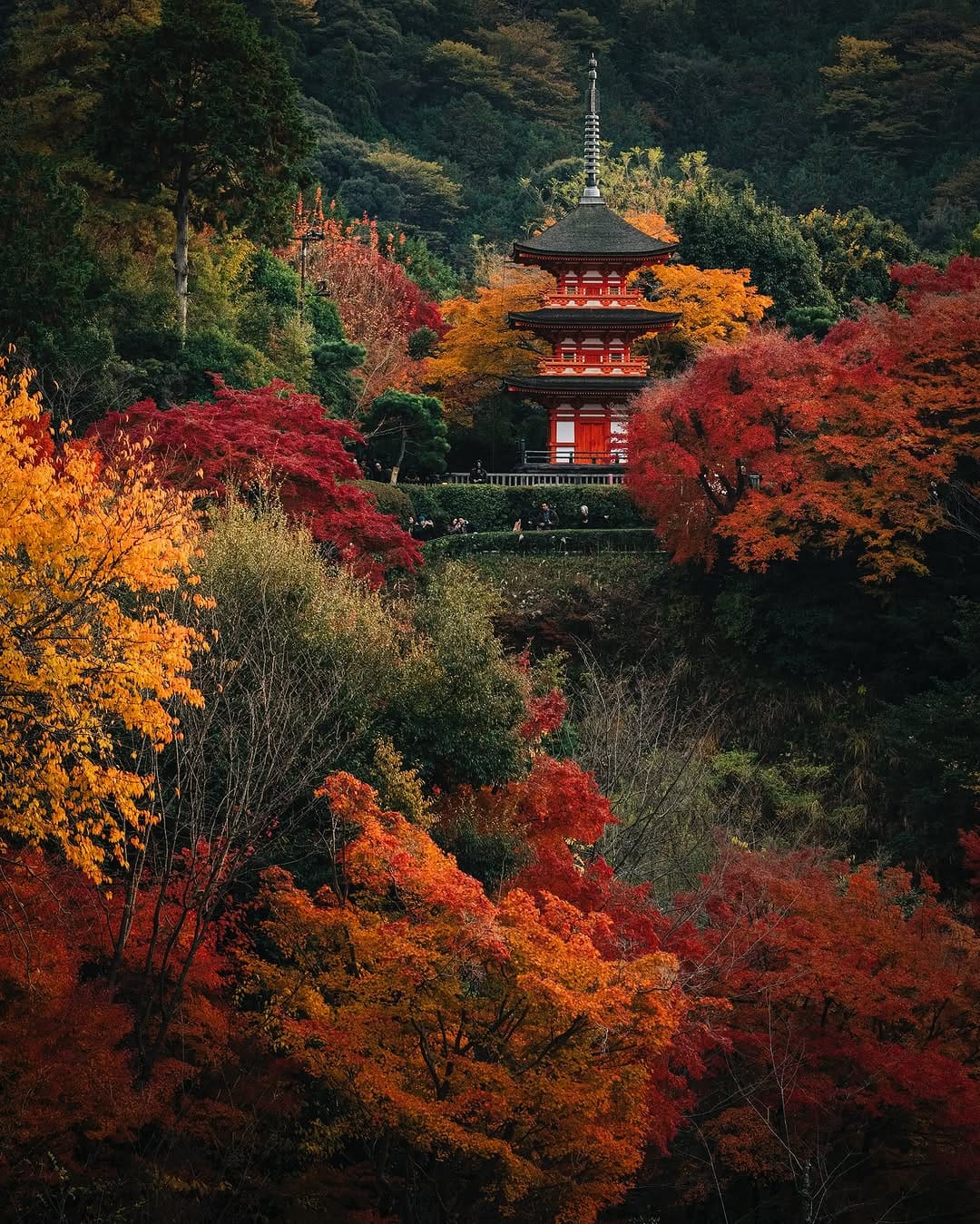 Post 5 by Travel • Nature • Earth on Instagram (carousel)
