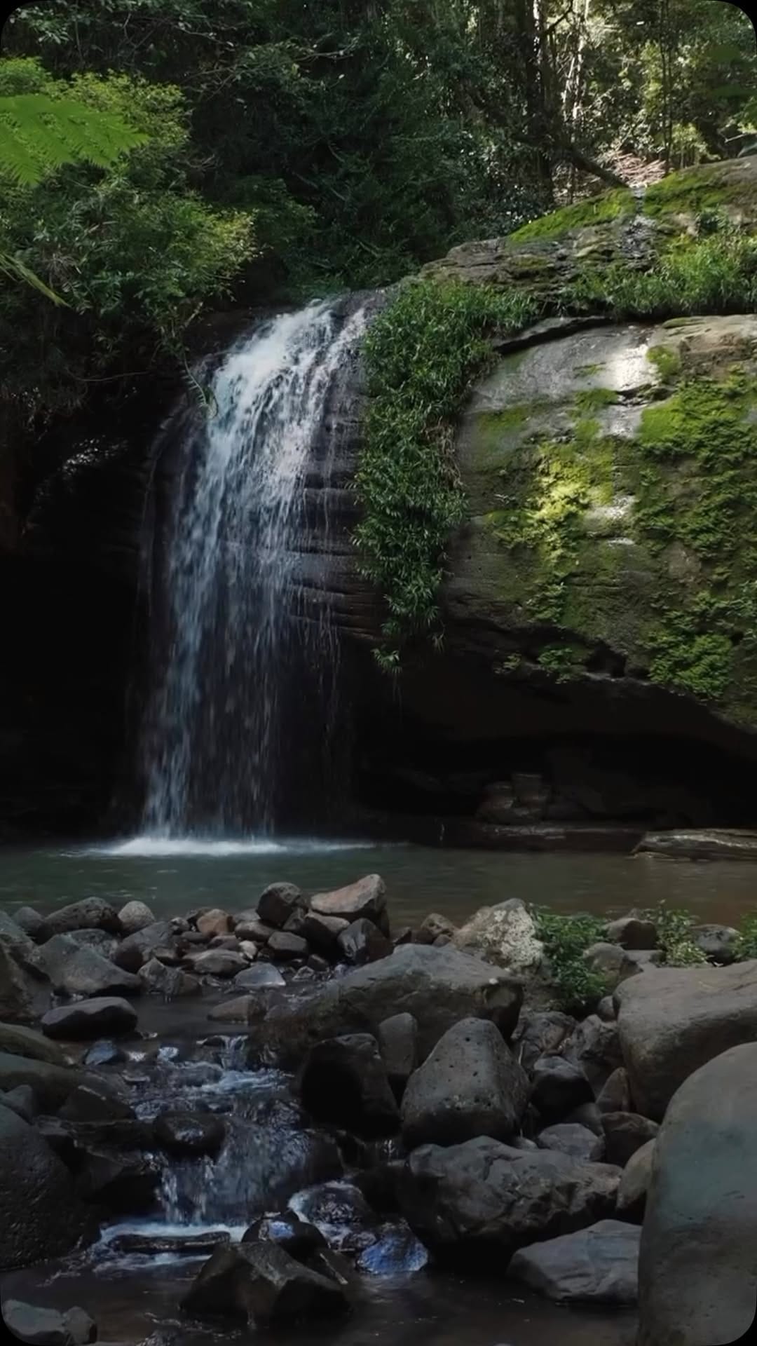 Post 5 by Rowell Steinwede on Instagram (video)