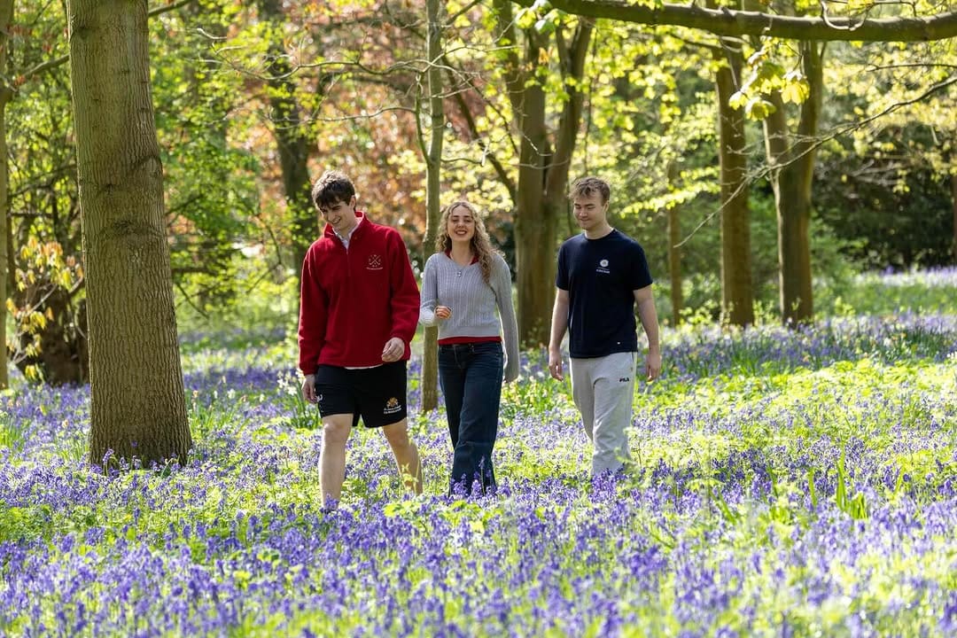 Post 2 by St John's College, Cambridge on Instagram (carousel)