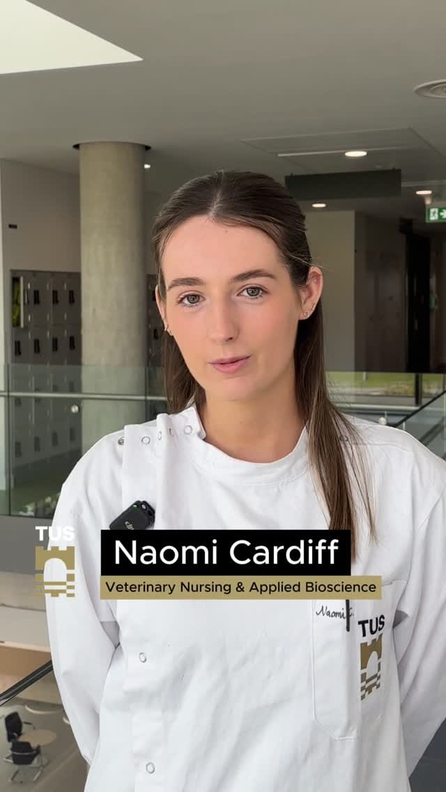 Post 7 by TUS Athlone Campus on Instagram (video)