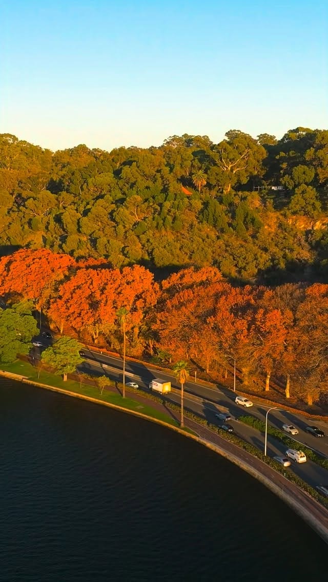 Post 1 by Jay Wei on Instagram (video)