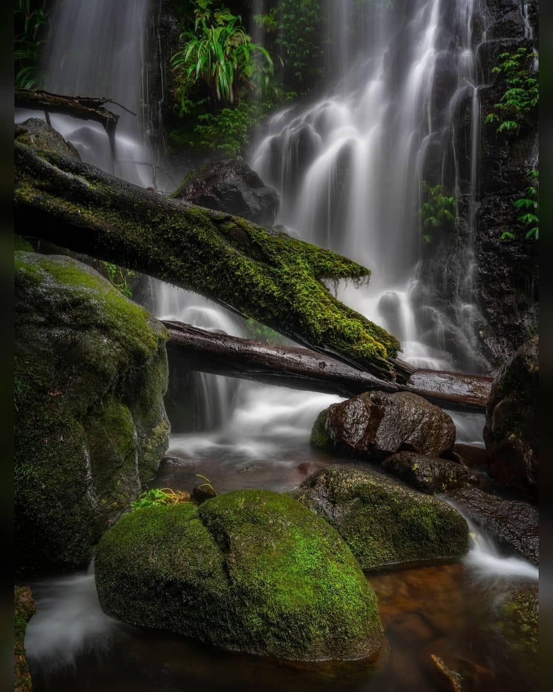 Post 8 by BRAD MOORE  |  AUSTRALIA on Instagram (image)