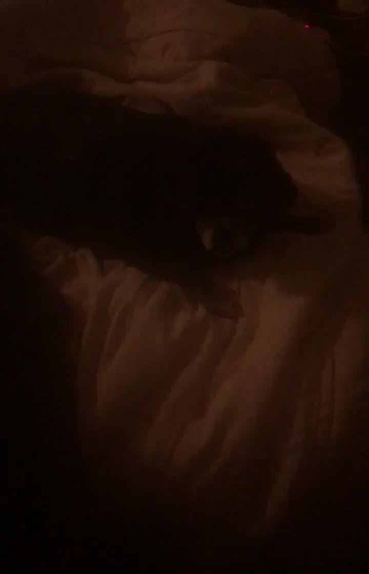 Post 2 by Chuggy Smith on Instagram (video)