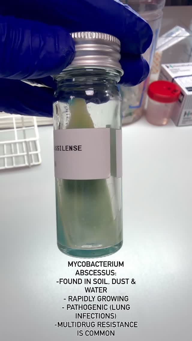 Post 2 by Bacteriagram on Instagram (video)