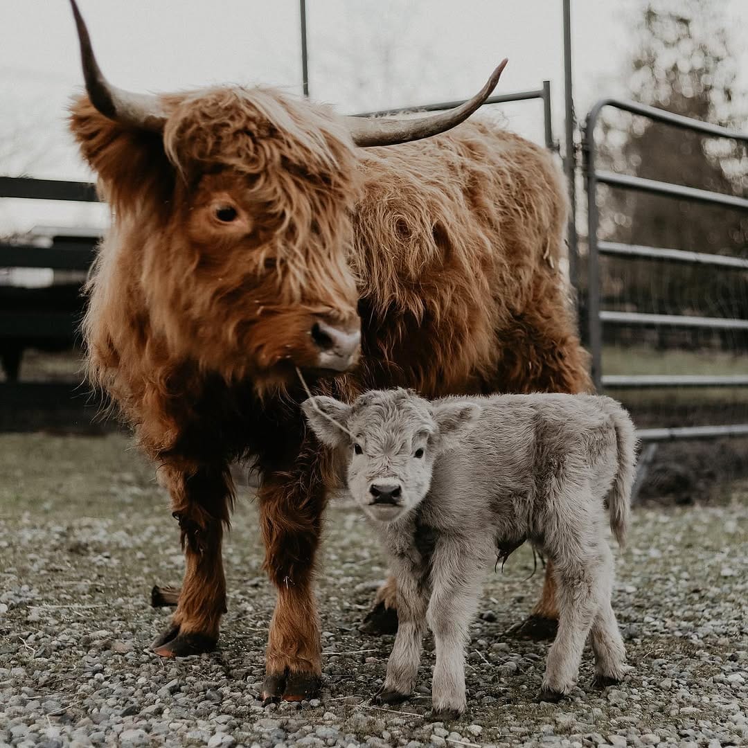 Post 9 by Victoria June on Instagram (image)