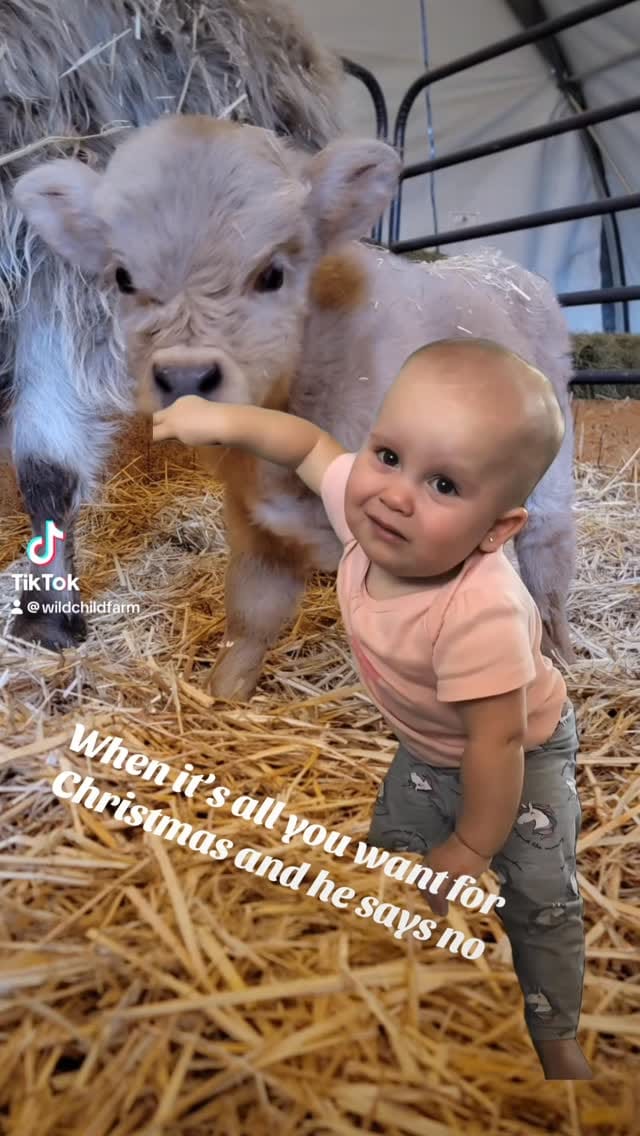 Post 3 by Victoria June on Instagram (video)