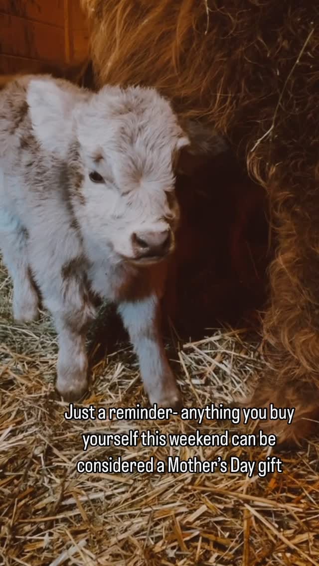 Post 8 by Victoria June on Instagram (video)