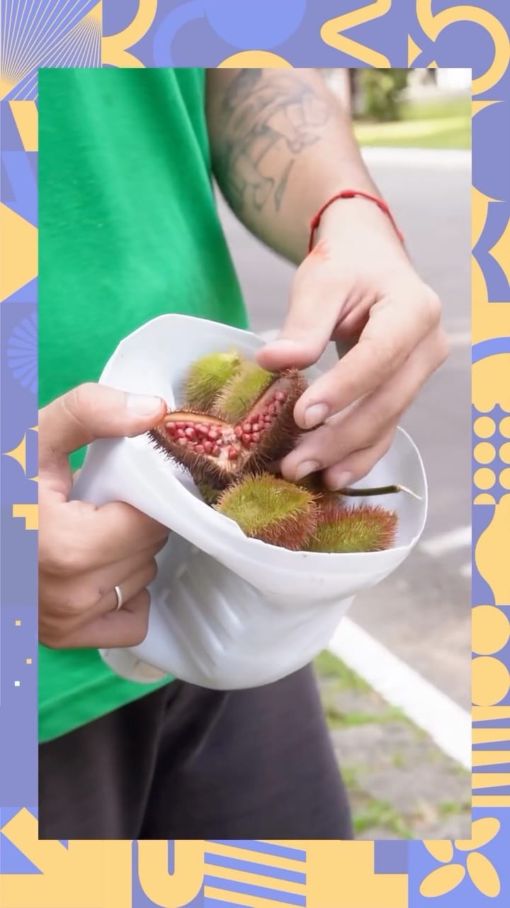 Post 3 by Colégio Ômega | Escola Integral Bilíngue on Instagram (video)