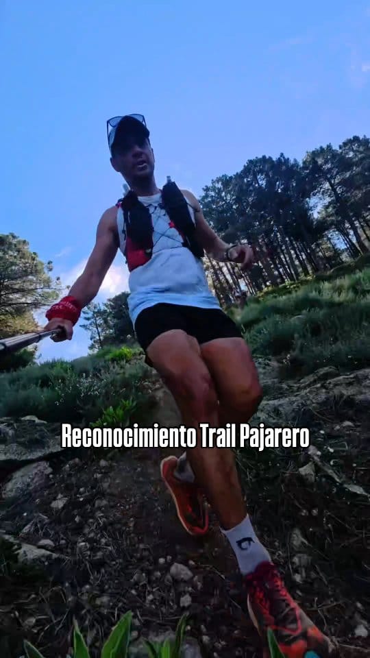 Post 8 by Jose Casarrubios on Instagram (video)