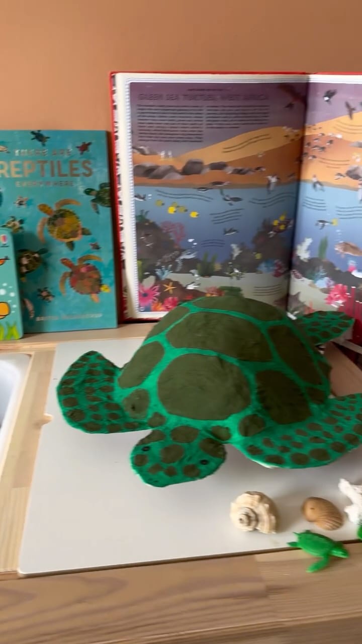 Post 6 by Rebecca Selmes on Instagram (video)