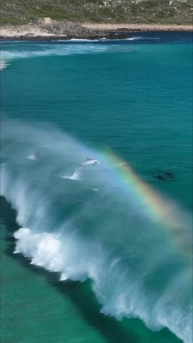 Post 3 by Jarrod // Australia on Instagram (video)