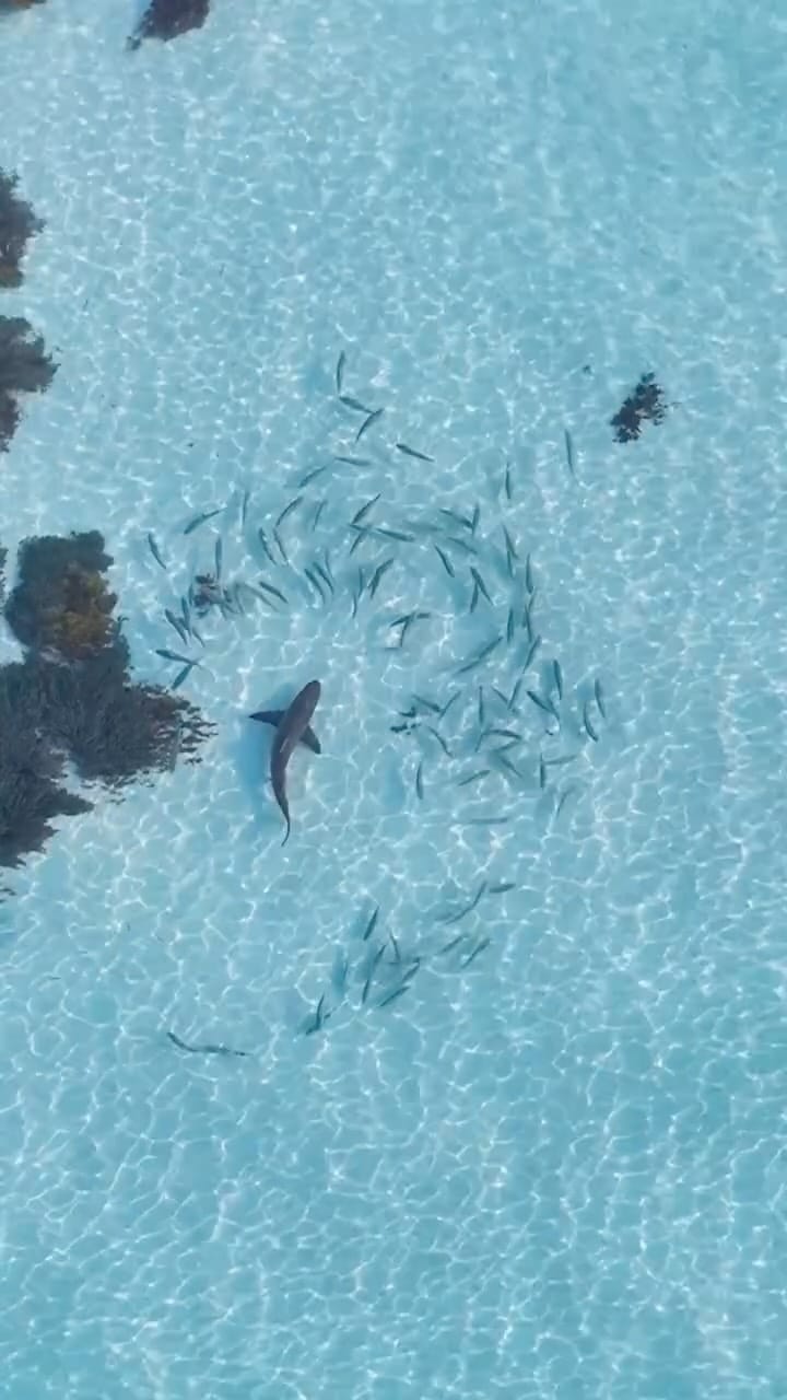 Post 2 by Jarrod // Australia on Instagram (video)