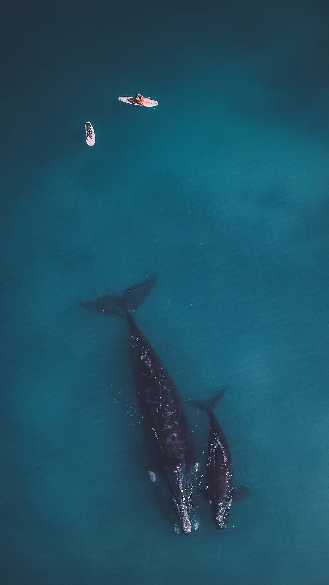 Post 10 by Jarrod // Australia on Instagram (video)