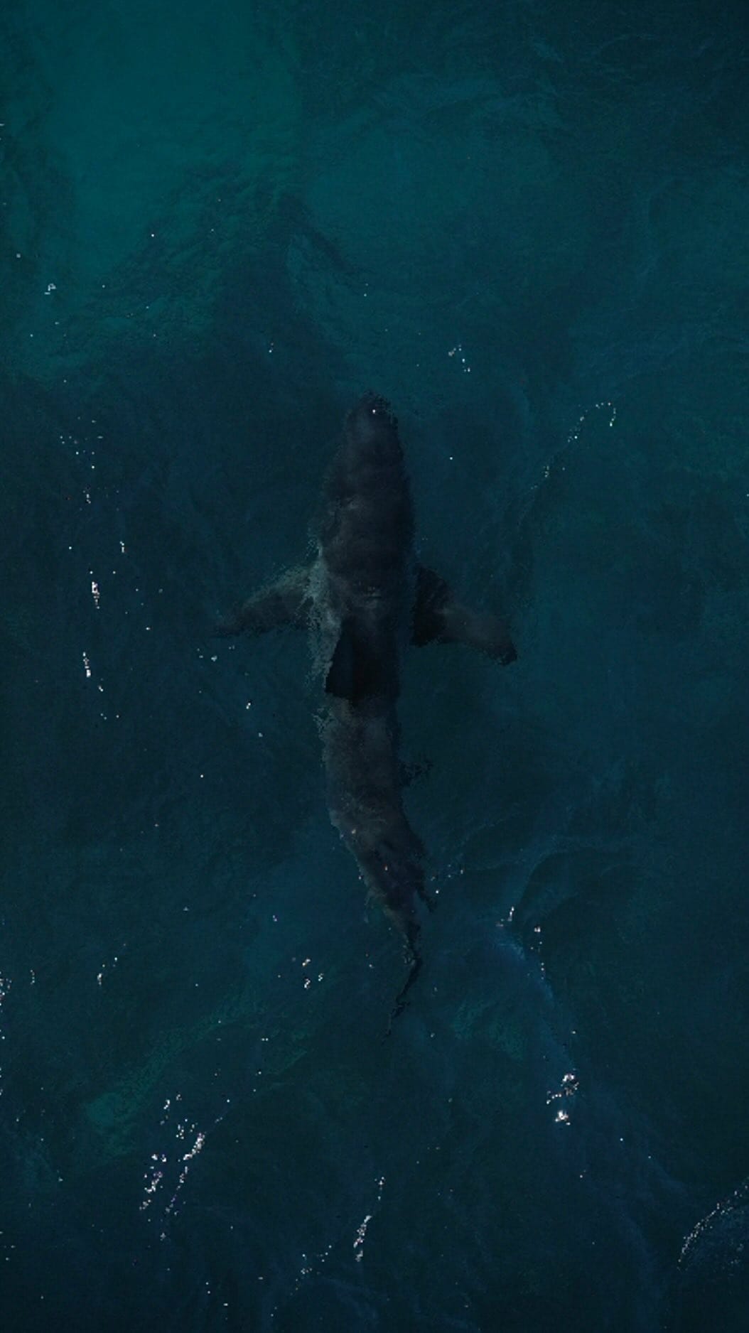Post 4 by Jarrod // Australia on Instagram (video)