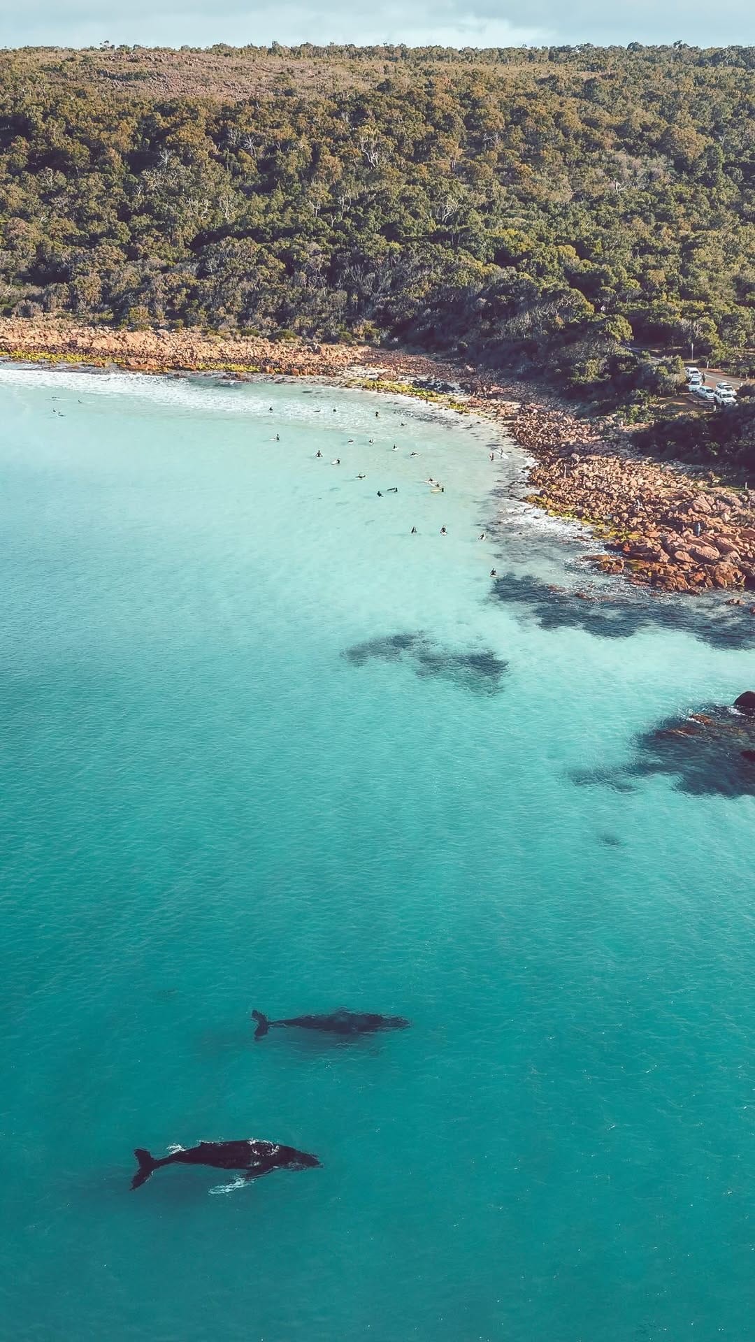Post 1 by Jarrod // Australia on Instagram (video)