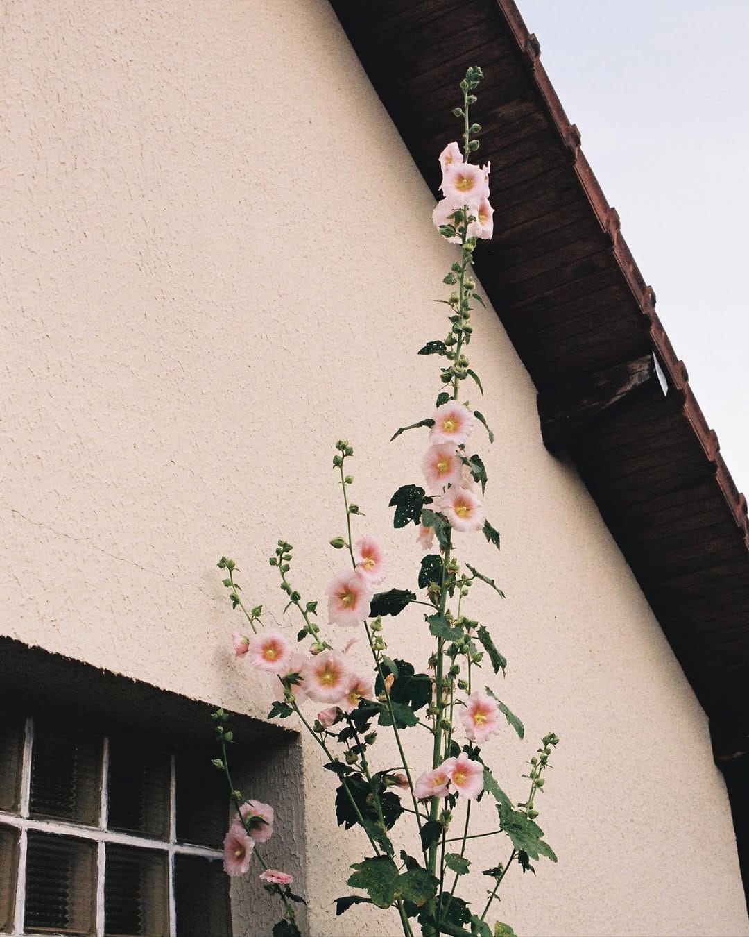 Post 3 by Cailin Rose ☼ on Instagram (image)