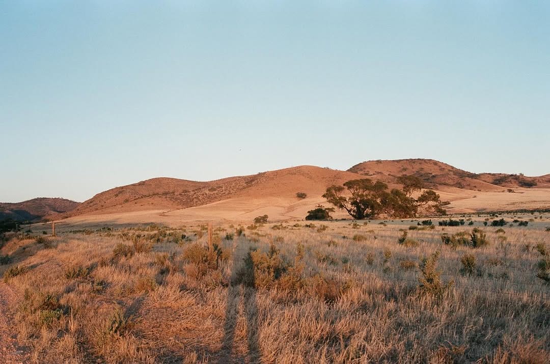 Post 10 by Cailin Rose ☼ on Instagram (image)
