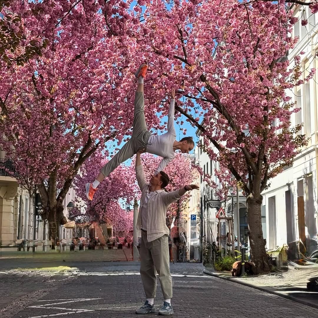 Post 9 by kirschbluete bonn on Instagram (image)