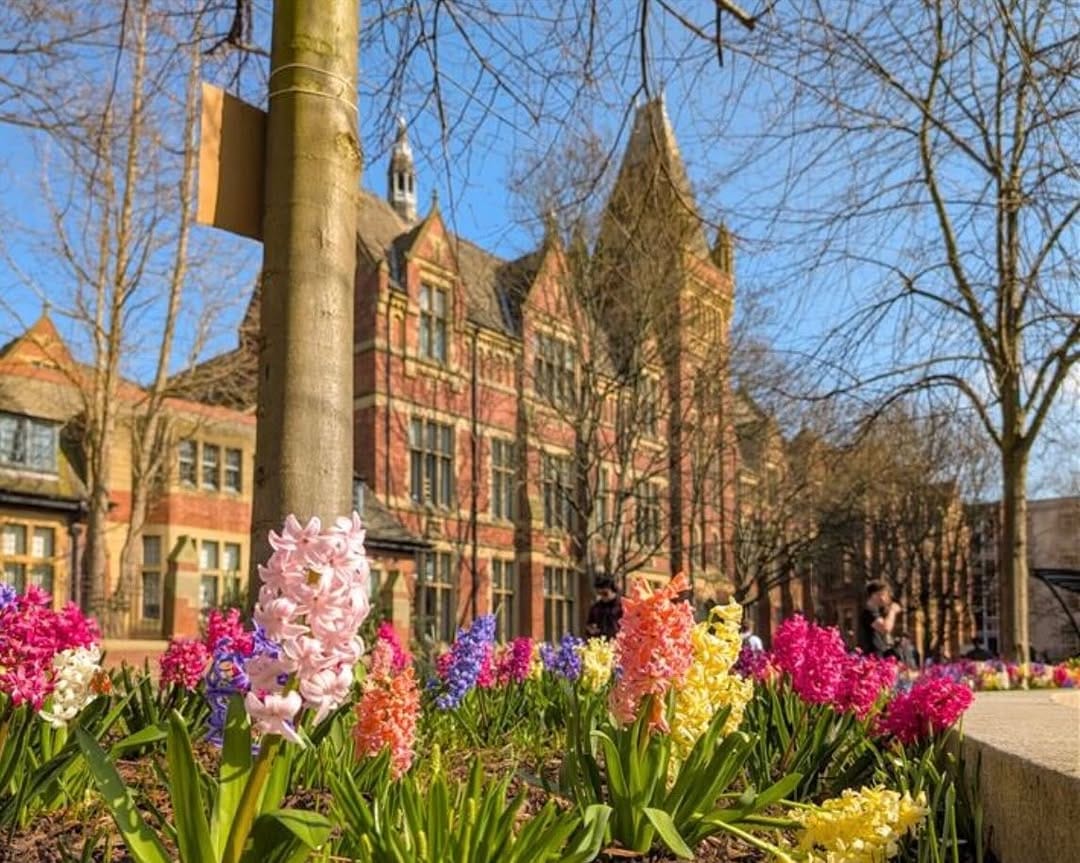 Post 3 by University of Leeds on Instagram (image)