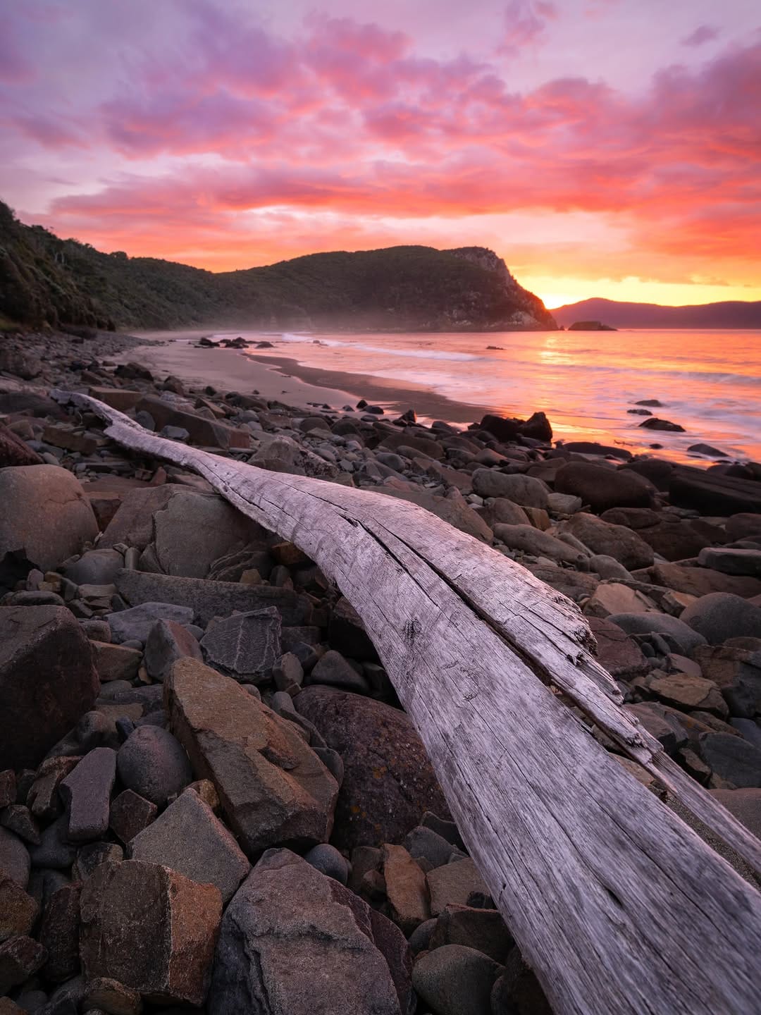 Post 3 by Deni Cupit | Tasmania on Instagram (image)