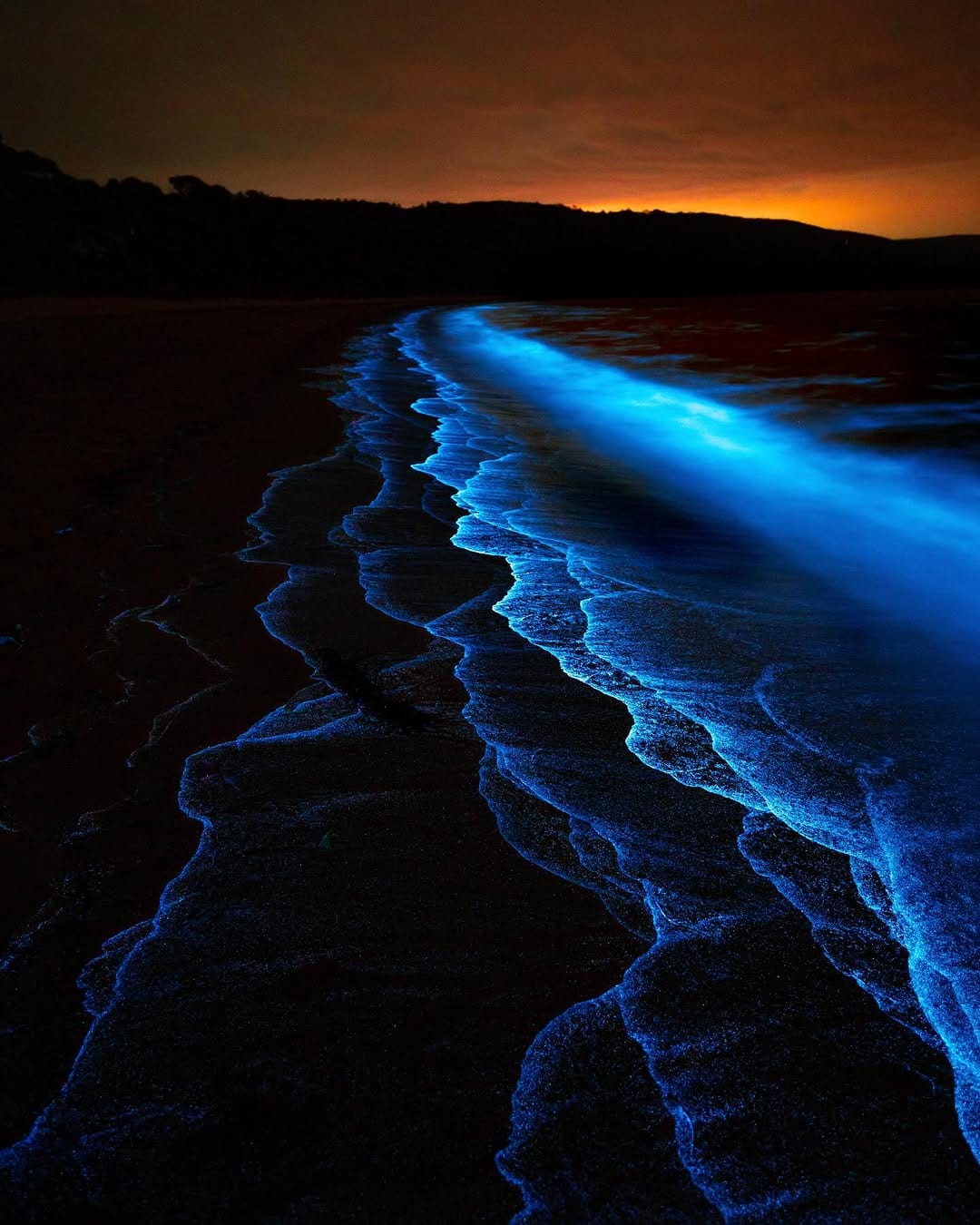 Post 8 by Deni Cupit | Tasmania on Instagram (image)