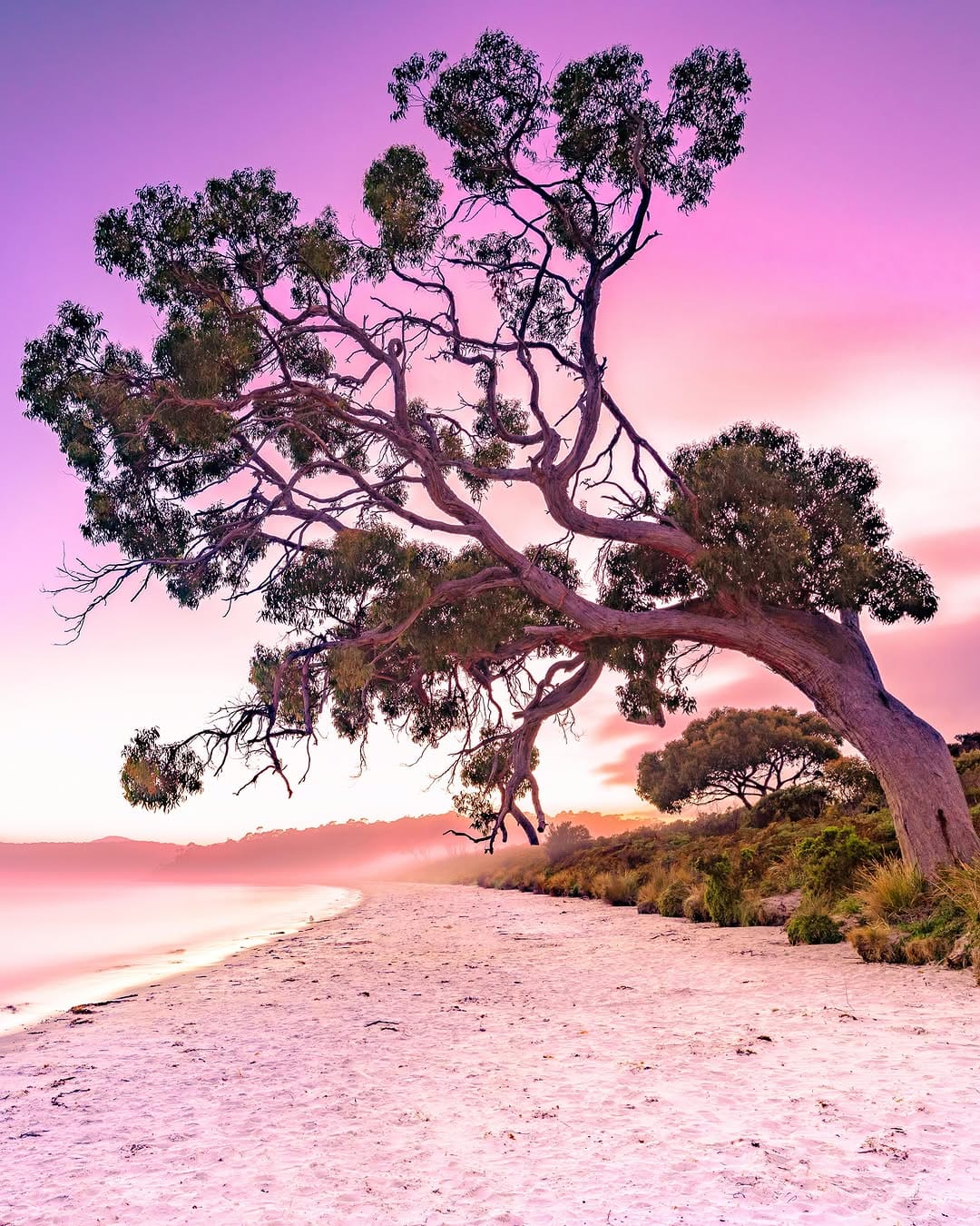 Post 6 by Deni Cupit | Tasmania on Instagram (carousel)