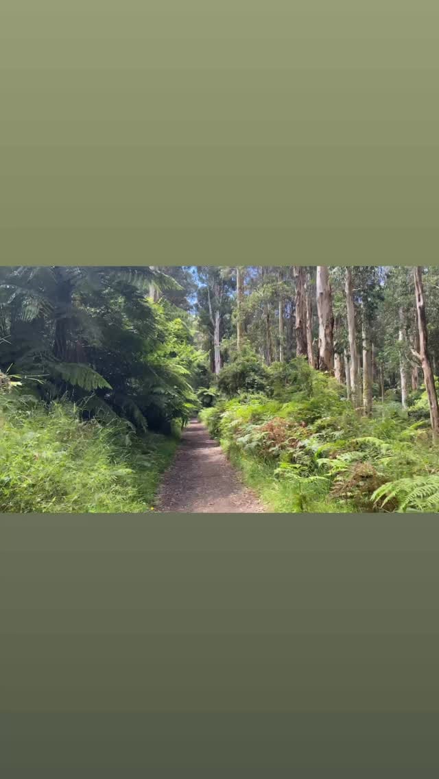 Post 2 by ✨Nature ✨ on Instagram (video)