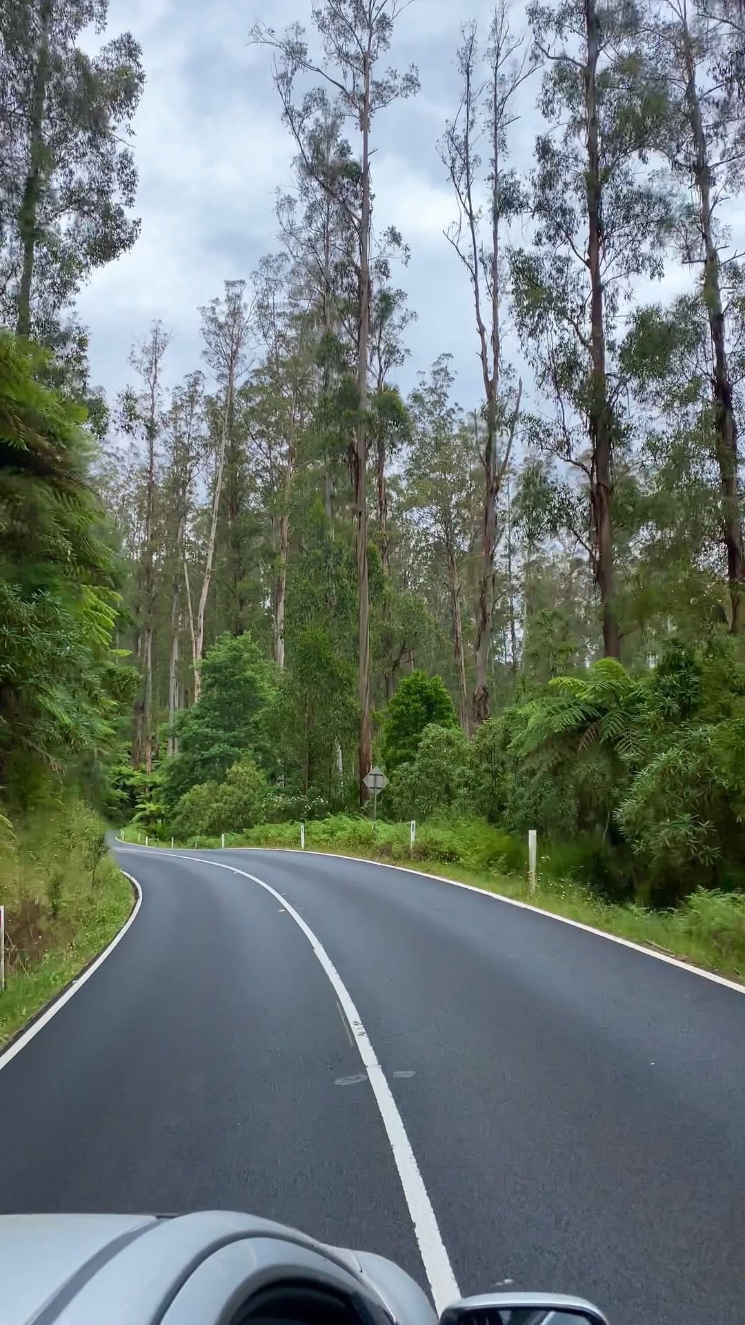 Post 8 by ✨Nature ✨ on Instagram (video)