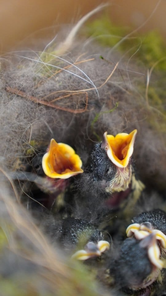 Post 5 by Millie's Garden Early Years Hub on Instagram (video)