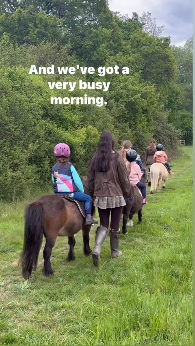 Post 7 by Shetland Pony Club on Instagram (video)
