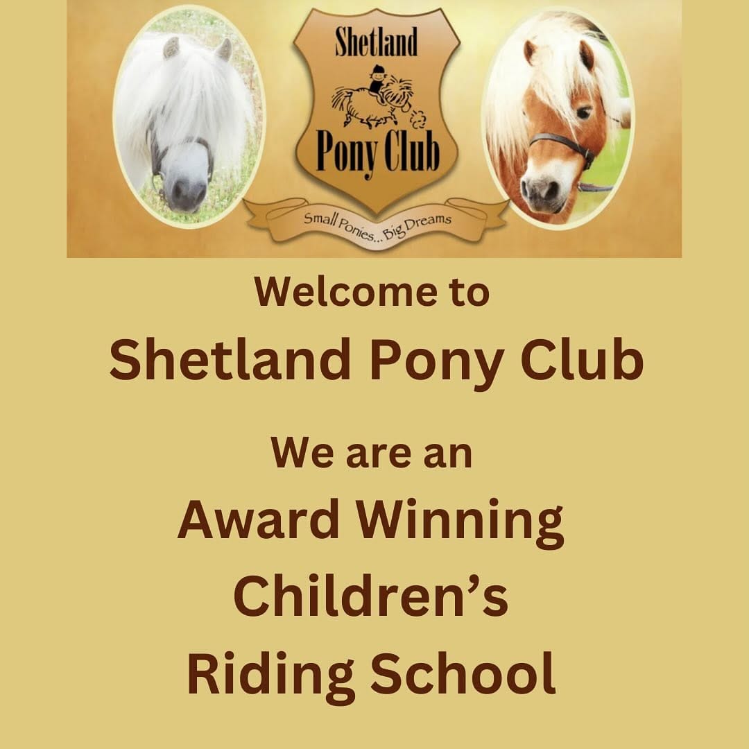 Post 9 by Shetland Pony Club on Instagram (carousel)