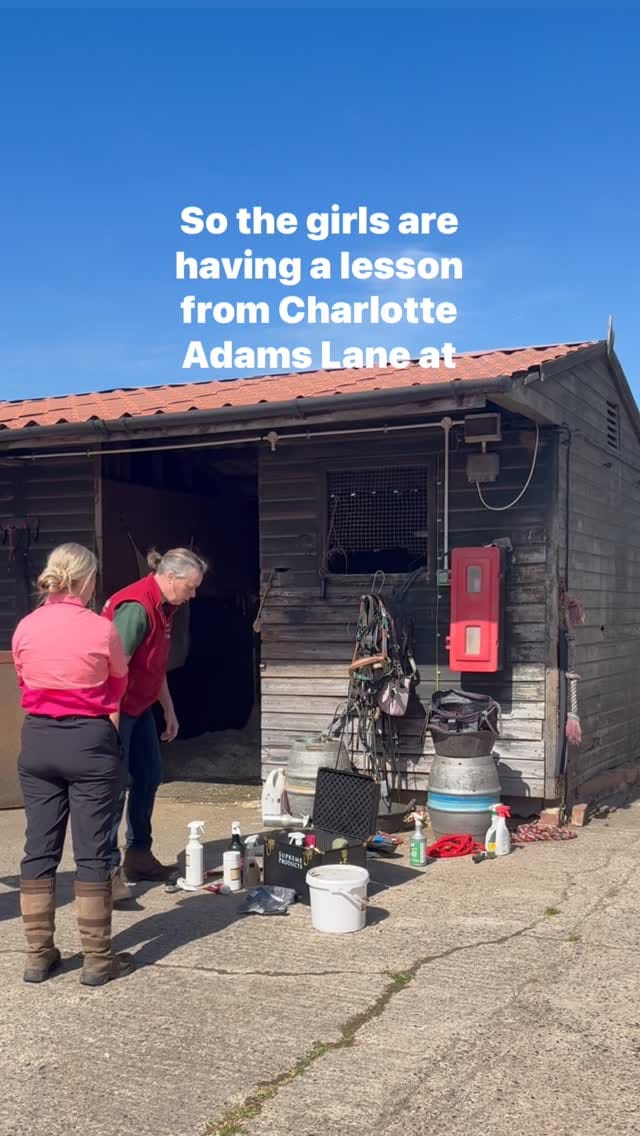 Post 6 by Shetland Pony Club on Instagram (video)