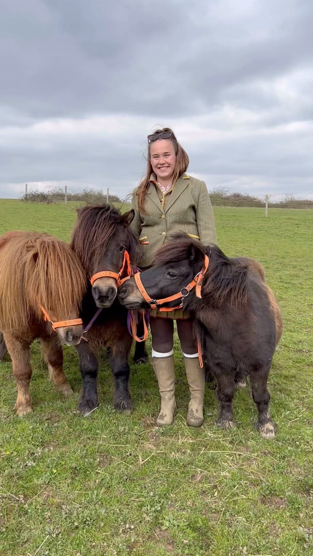 Post 10 by Shetland Pony Club on Instagram (video)