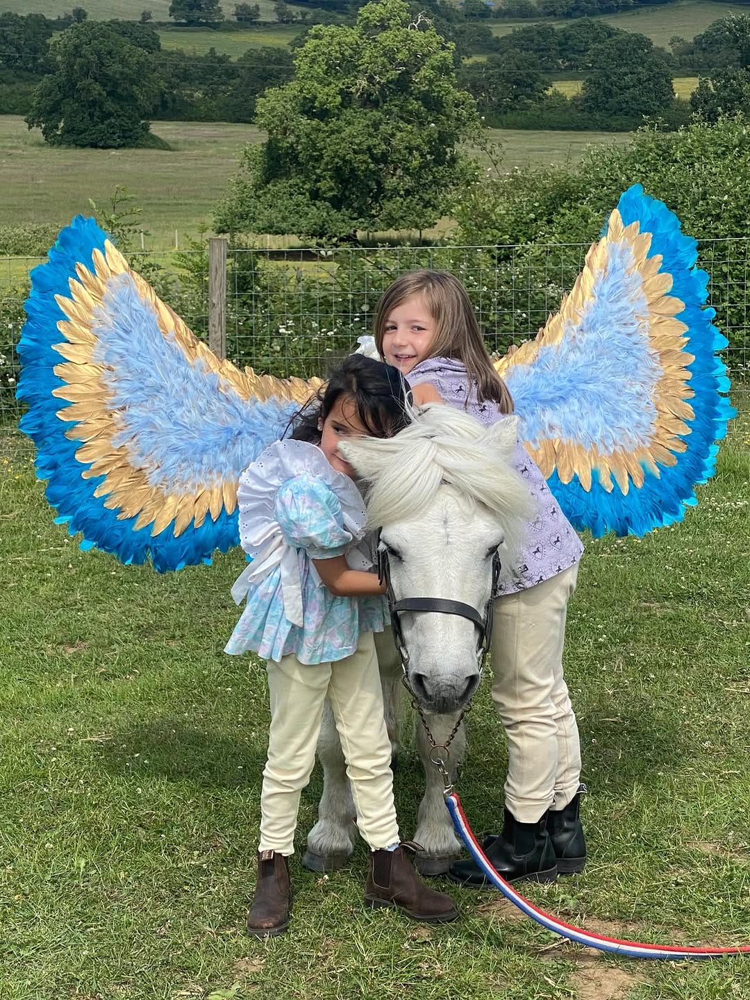 Post 3 by Shetland Pony Club on Instagram (carousel)